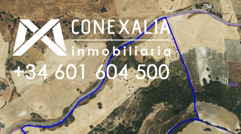 Cádiz - Olvera - 2910382m2