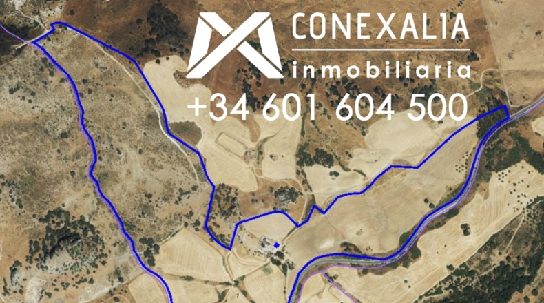 Cádiz - Olvera - 2910382m2