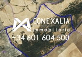 Finca rústica en venda a la España, Olvera, ref.: TR98832 foto
