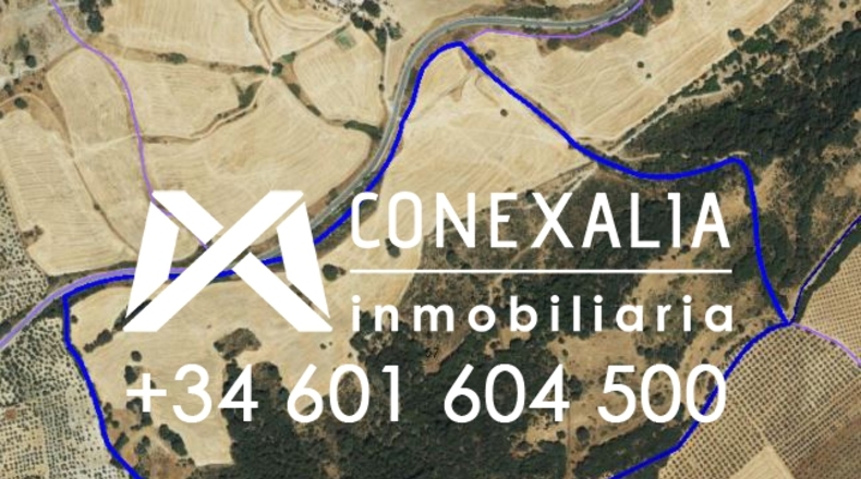 Cádiz - Olvera - 2910382m2