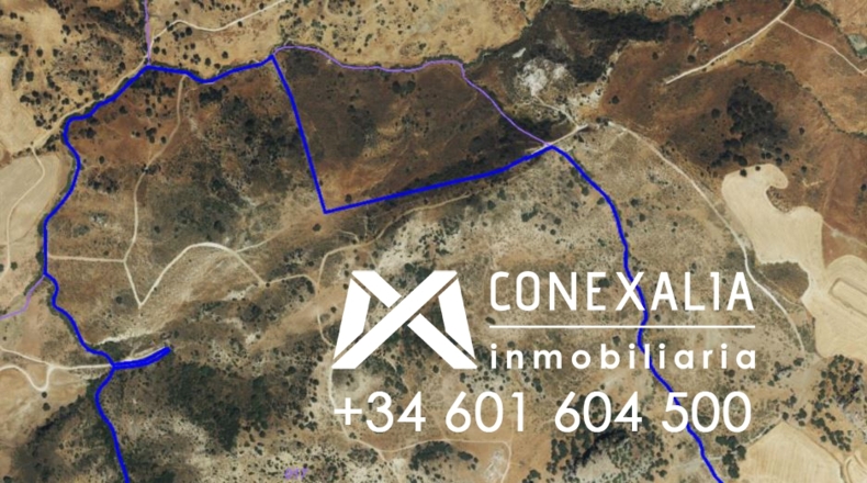 Cádiz - Olvera - 2910382m2