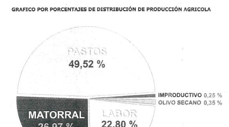 Cádiz - Olvera - 2910382m2