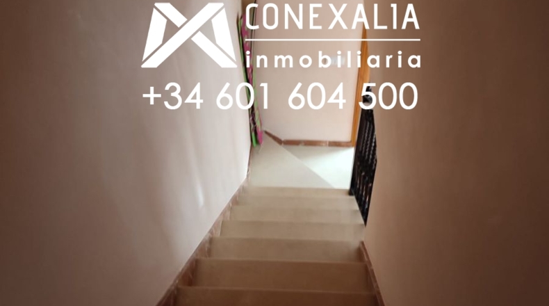 Cádiz - Setenil de las Bodegas - 184m2