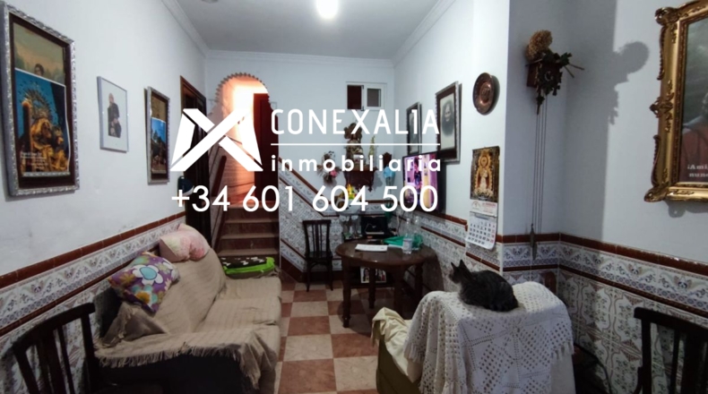 Cádiz - Setenil de las Bodegas - 150m2