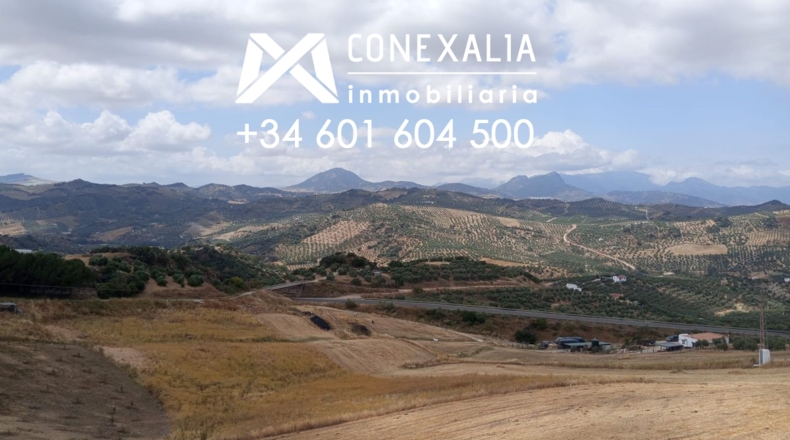 Cádiz - Olvera - 220m2