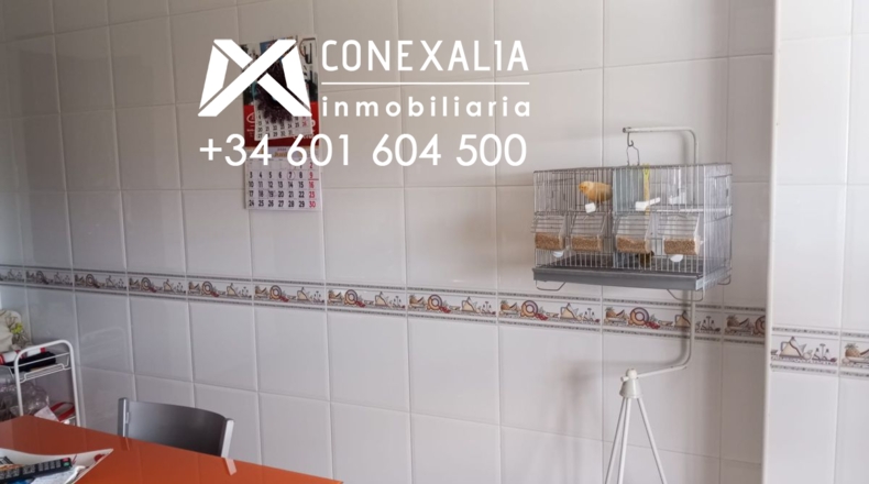 Cádiz - Olvera - 220m2