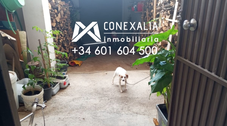 Cádiz - Olvera - 220m2