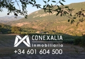 Finca rústica en venda a la España, Algodonales, ref.: TR109192 foto