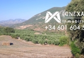 Finca rústica en venda a la España, Algodonales, ref.: TR109192 foto