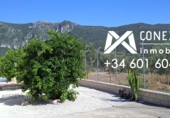 Finca rústica en venda a la España, Algodonales, ref.: TR109192 foto