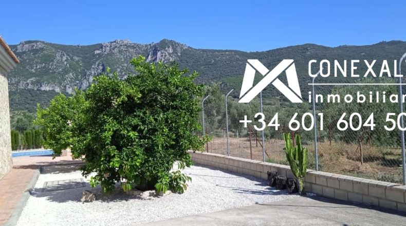 Cádiz - Algodonales - 109200m2