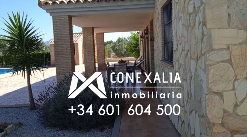 Cádiz - Algodonales - 109200m2
