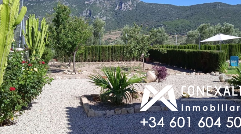Cádiz - Algodonales - 109200m2