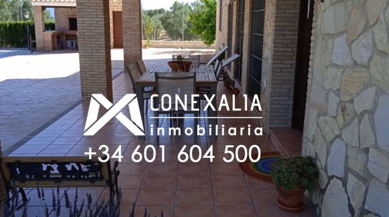 Cádiz - Algodonales - 109200m2