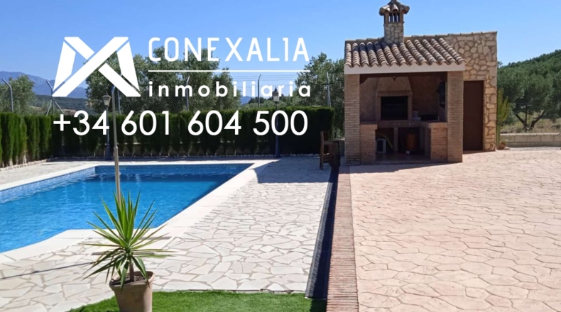 Cádiz - Algodonales - 109200m2