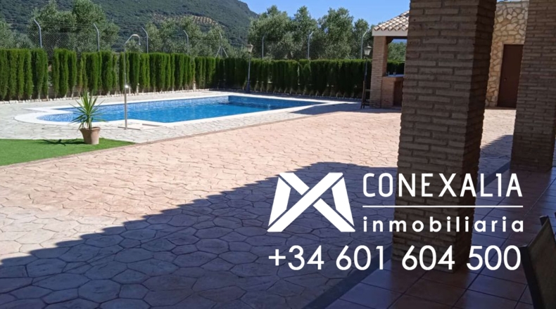 Cádiz - Algodonales - 109200m2
