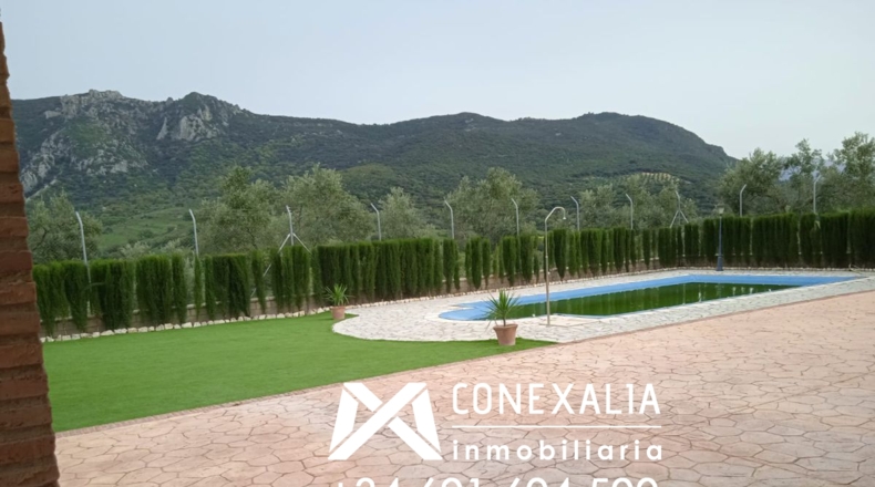 Cádiz - Algodonales - 109200m2