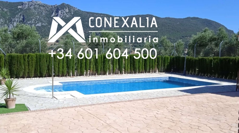 Cádiz - Algodonales - 109200m2