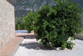Foto 19