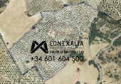 Finca rústica en venda a la España, Algodonales, ref.: TR109192 foto