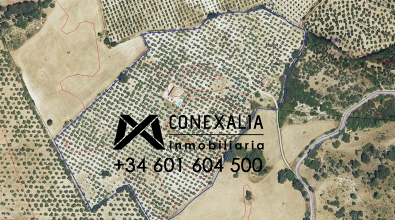 Cádiz - Algodonales - 109200m2