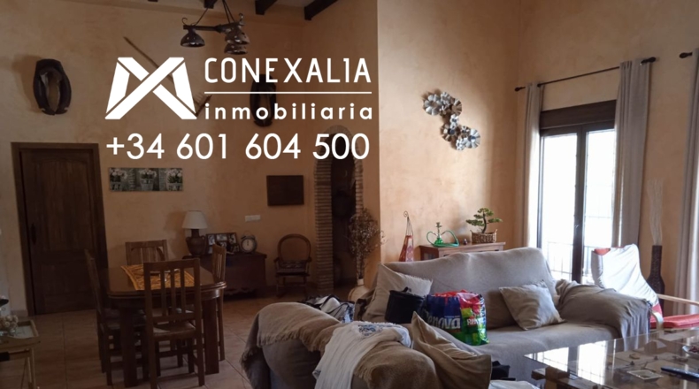 Cádiz - Algodonales - 109200m2