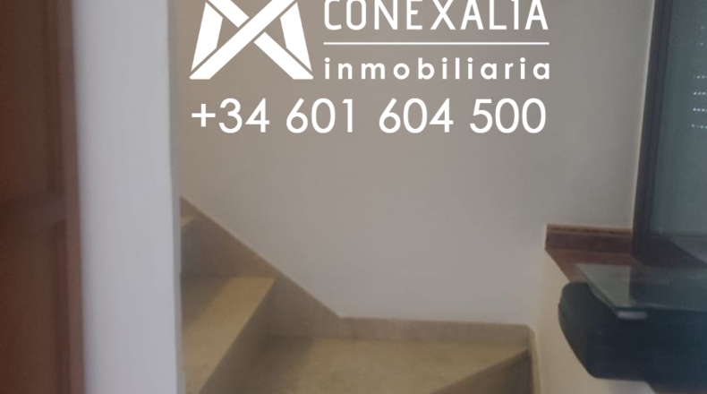 Cádiz - Setenil de las Bodegas - 134m2