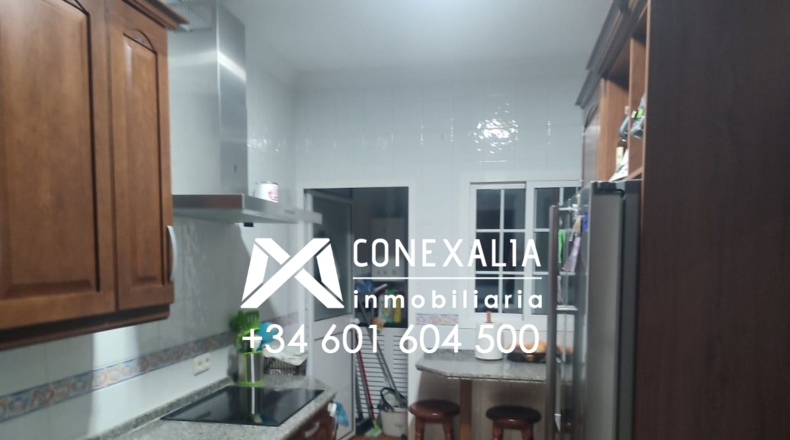 Cádiz - Setenil de las Bodegas - 60m2