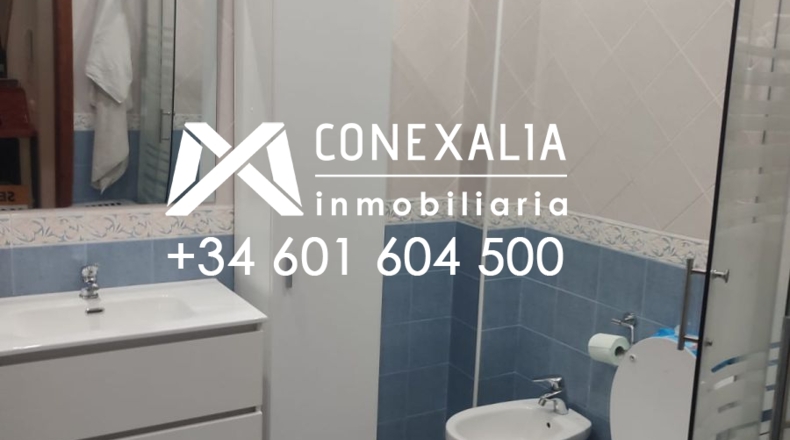 Cádiz - Setenil de las Bodegas - 60m2