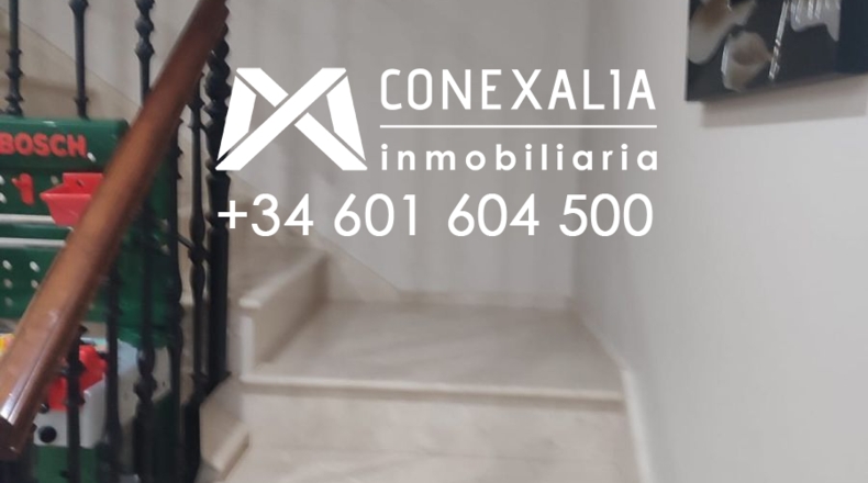Cádiz - Setenil de las Bodegas - 60m2