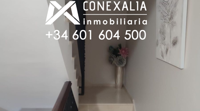 Cádiz - Setenil de las Bodegas - 60m2