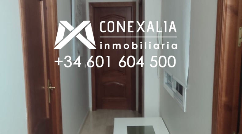 Cádiz - Setenil de las Bodegas - 60m2
