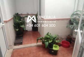 Foto 20