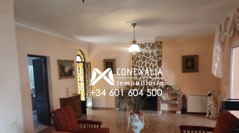 Cádiz - Setenil de las Bodegas - 384m2
