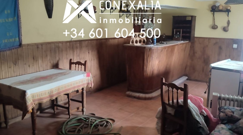 Cádiz - Setenil de las Bodegas - 384m2