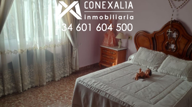 Cádiz - Setenil de las Bodegas - 384m2