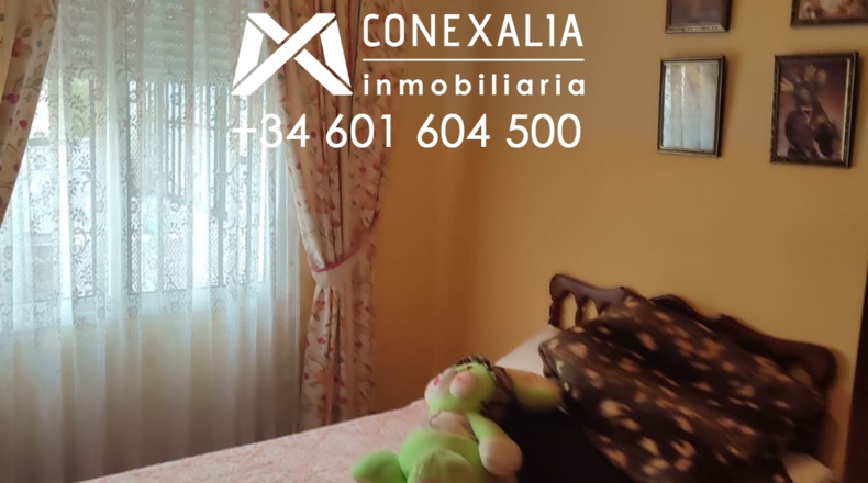Cádiz - Setenil de las Bodegas - 384m2
