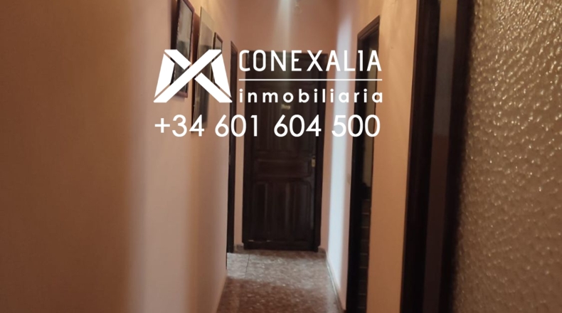 Cádiz - Setenil de las Bodegas - 384m2
