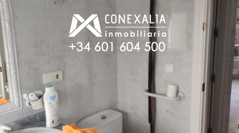 Cádiz - Setenil de las Bodegas - 384m2