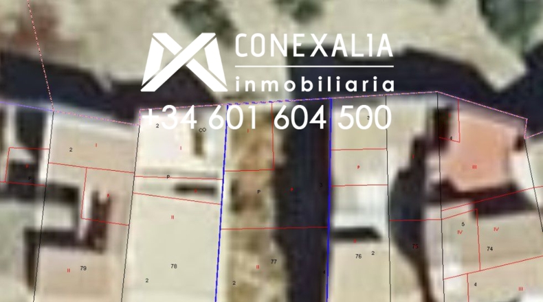 Cádiz - Alcalá del Valle - 104m2
