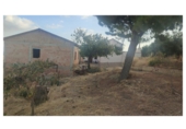 Finca rústica en venda a la España, Setenil de las Bodegas, ref.: TR284699 foto