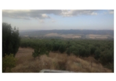 Finca rústica en venda a la España, Setenil de las Bodegas, ref.: TR284699 foto