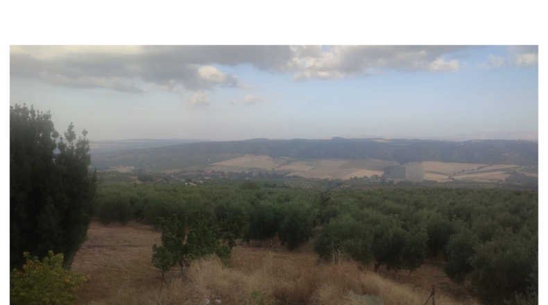 Cádiz - Setenil de las Bodegas - 57960m2