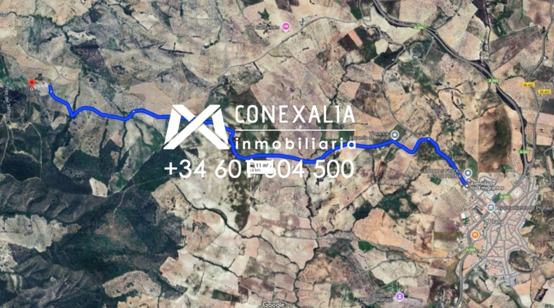 Sevilla - Pruna - 88676m2