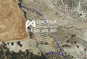 Pruna 88676&nbsp;m²