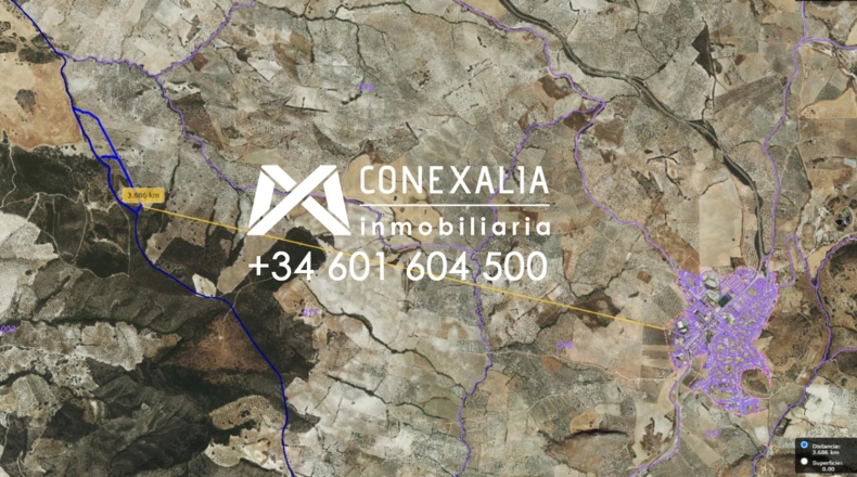 Sevilla - Pruna - 88676m2