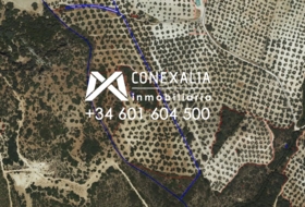 Pruna 88676&nbsp;m²