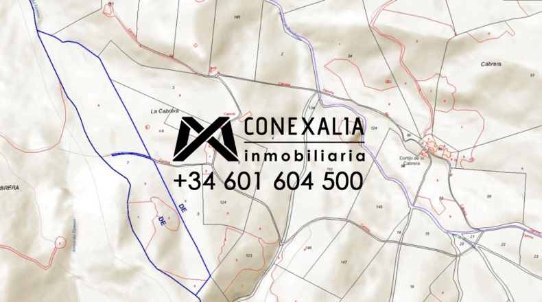 Sevilla - Pruna - 88676m2