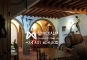 Casa de pueblo en venta en Olvera ref: TR284693 foto
