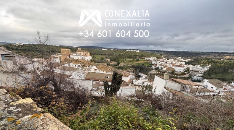 Cadiz - Setenil de las Bodegas - 507m2